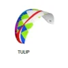 Bdg Dual Lite Paramotor Wing tulip