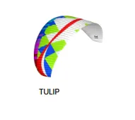 Bdg Dual Lite Paramotor Wing tulip