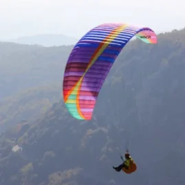 Bgd Wasp Motor Paramotor Wing