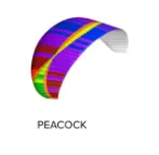 Bgd Wasp Motor Paramotor Wing Peacock