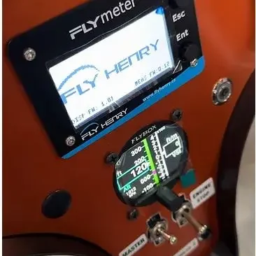 Fly Henry Fly Meter Gauge