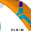 Ozone MoxiePWR paramotor wing OIB/W color